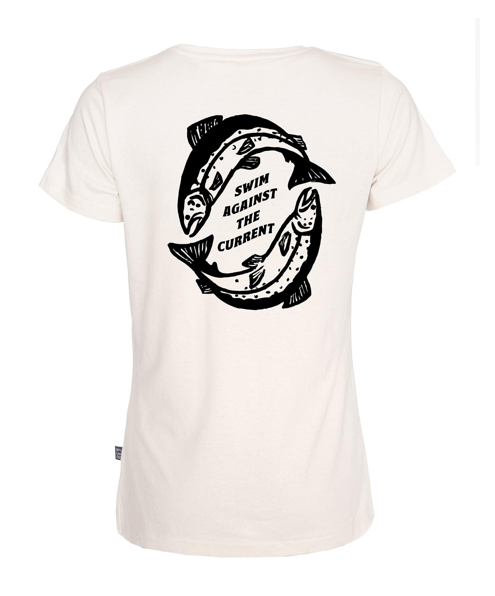 tswb01-back