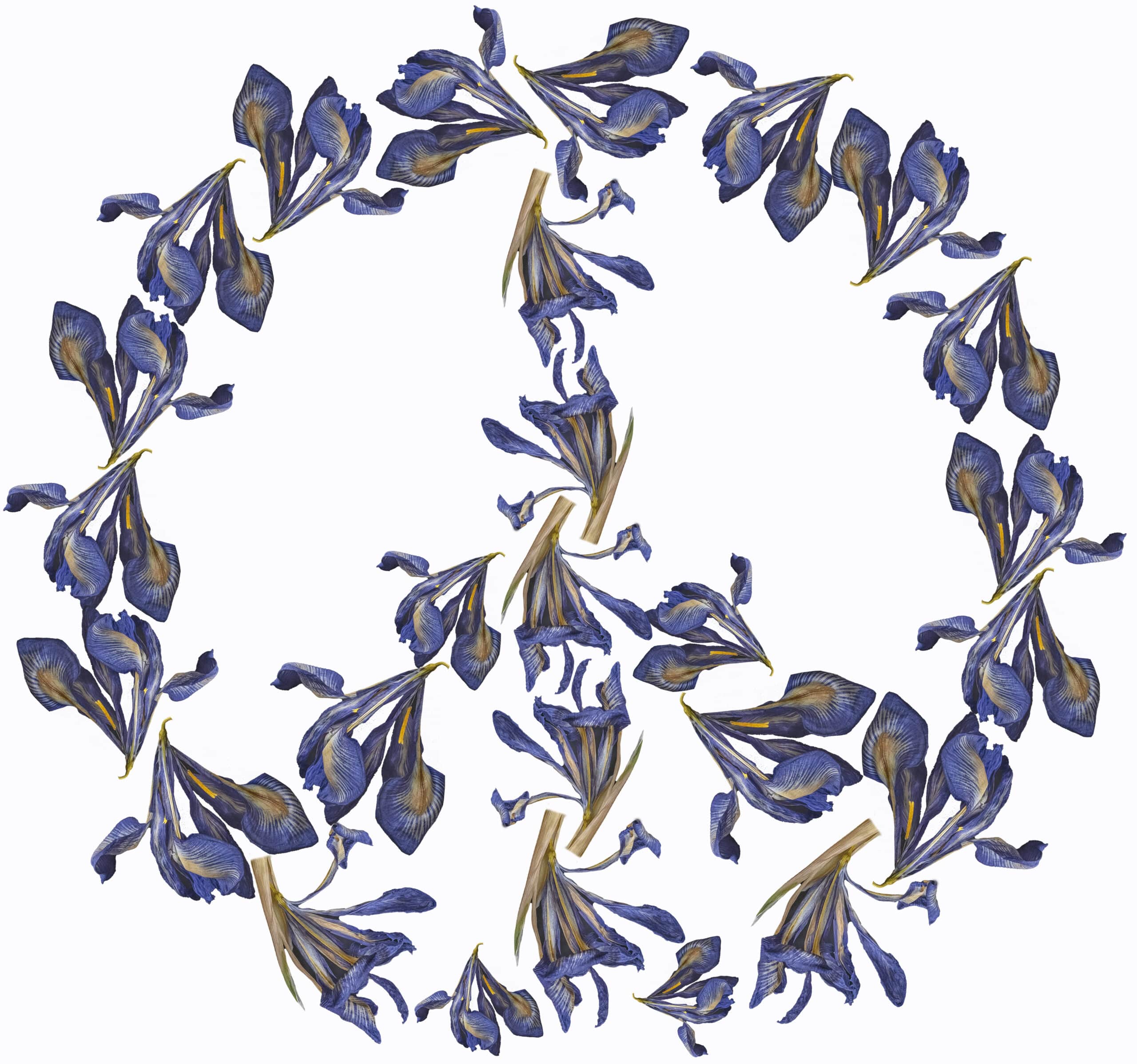 Peace sign by Kreetta Järvenpää_Blue_32x30_white