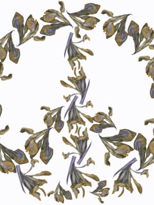 T-shirt Peace 2026, Olive